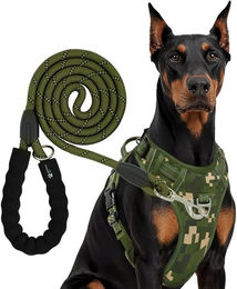 Reichstadt RS Pets Hundegeschirr und Leinen Set Grün Größe L aus Polyester mit atmungsaktivem Netzgewebe und wasserabweisendem Oxford-Stoff – Bild 1 von 5