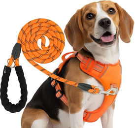 Reichstadt RS Pets Hundegeschirr und Leinen Set Orange aus Polyester mit atmungsaktivem Netzgewebe und wasserabweisendem Oxford-Stoff – Bild 1 von 5