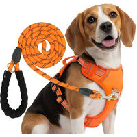 Produktbild von Reichstadt RS Pets Hundegeschirr und Leinen Set Orange aus Polyester mit atmungsaktivem Netzgewebe und wasserabweisendem Oxford-Stoff