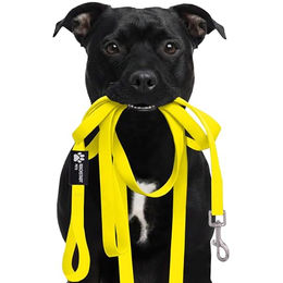 Produktbild von Reichstadt RS Pets Hundeleine aus Biothane für große Hunde Gelb 5m wasserabweisend