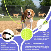Produktbild von Reichstadt RS Pets Hundeleine aus Nylon mit ergonomischem EVA-Griff reflektierend Grün 1,5m
