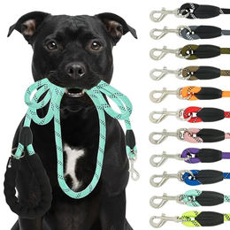 Reichstadt RS Pets Hundeleine aus Nylon mit ergonomischem EVA-Griff und reflektierenden Elementen in Türkis 1,5m – Bild 1 von 9