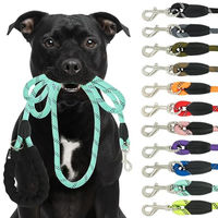 Produktbild von Reichstadt RS Pets Hundeleine aus Nylon mit ergonomischem EVA-Griff und reflektierenden Elementen in Türkis 1,5m