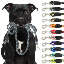 Reichstadt RS Pets Hundeleine aus Nylon mit EVA-Griff reflektierend Grau 1,5m – Bild 1 von 13