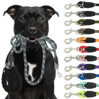 Produktbild von Reichstadt RS Pets Hundeleine aus Nylon mit EVA-Griff reflektierend Grau 1,5m