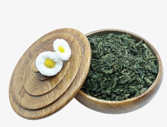 Reitgarten's Bio Brennnessel getrocknet und geschnitten 500g – Bild 1 von 2