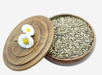 Reitgarten's Bio Mariendistelsamen zur Unterstützung von Leber und Nieren 1000g – Bild 1 von 2
