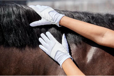 Produktbild von Reithandschuhe Equipage Karla für Damen aus Polyester in Weiß Größe L