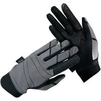 Produktbild von Reithandschuhe York Sage Grün Grau aus Polyester Unisex XL