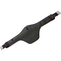 Produktbild von Reitlatzgurt Hispano Hipica aus Nylon in Schwarz 115 cm