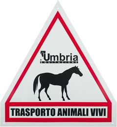 Produktbild von Reitplatte Umbria Equitazione Weiß Unisex