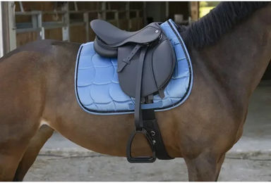 Produktbild von Reitsattel Norton Pro Mixte aus Kunstleder in Schwarz