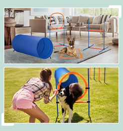 Relaxdays Agility Set für Hunde aus Kunststoff, 4230-teilig, Blau/Orange – Bild 1 von 7