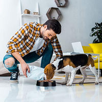 Produktbild von Relaxdays Antischlingnapf für Hunde Slow Feeder aus Kunststoff Schwarz Mittel - 900 ml