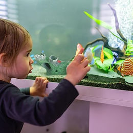Relaxdays Aquarium Deko Baumstamm als Versteck und Höhle für Fische und Garnelen aus Kunstharz grau/grün – Bild 1 von 6