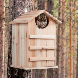 Relaxdays Eulen Nistkasten aus Holz für Wildvögel und Tauben naturfarben aufklappbar - 1 Stk. – Bild 1 von 10