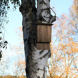 Relaxdays Fledermauskasten aus Holz in Braun als großer Unterschlupf für Fledermäuse 37 x 22 x 12,5 cm – Bild 1 von 8