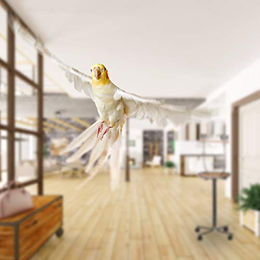 Relaxdays Freisitz für Papageien und Sittiche aus Metall mit Anflugstange und 2 Futternäpfen in Schwarz XL – Bild 1 von 4