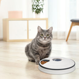 Relaxdays Futterautomat für Katzen mit Zeitschaltuhr und 6 Portionen, Weiß/Grau – Bild 1 von 7