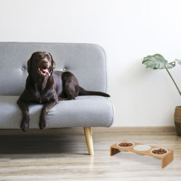 Relaxdays Futterstation für Hunde mit 3 Näpfen aus Keramik und Bambus in Natur/Weiß – Bild 1 von 8