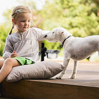Produktbild von Relaxdays Futterstation Hund mit höhenverstellbarem Napf aus Edelstahl in Silber - 0,75 l