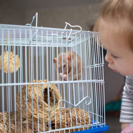 Relaxdays Hamster Zubehör Set 5-teilig aus Naturgras mit Tunnel und Heubällen für Kleintiere – Bild 1 von 7