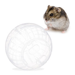 Relaxdays Hamsterball Laufkugel für Hamster und Mäuse transparent aus Kunststoff 14 cm – Bild 1 von 3