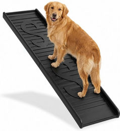 Relaxdays Hunderampe klappbar aus Kunststoff in Schwarz für erwachsene Hunde – Bild 1 von 4