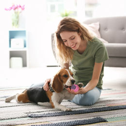 Relaxdays Hundespielzeug Set 10-teilig aus Baumwolle für Welpen und kleine bis mittlere Hunde, buntes Tau- und Zerrspielzeug mit Frisbee – Bild 1 von 6