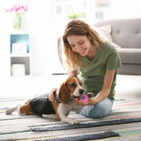 Produktbild von Relaxdays Hundespielzeug Set 10-teilig aus Baumwolle für Welpen und kleine bis mittlere Hunde, buntes Tau- und Zerrspielzeug mit Frisbee