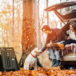 Relaxdays Hundetransportbox für das Auto aus Aluminium Schwarz – Bild 1 von 7