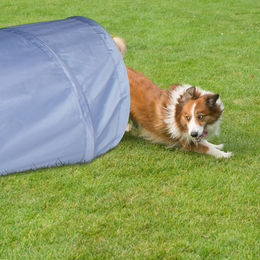 Relaxdays Hundetunnel Agility-Tunnel aus Polyester für Hundetraining, 200 cm lang, grau - 2 m – Bild 1 von 4