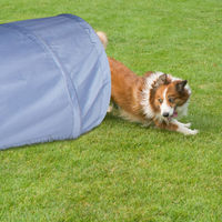 Produktbild von Relaxdays Hundetunnel Agility-Tunnel aus Polyester für Hundetraining, 200 cm lang, grau - 2 m