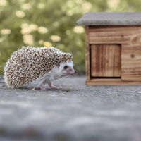 Produktbild von Relaxdays Igelhaus Bausatz aus Holz mit Boden und Rattenklappe in Natur