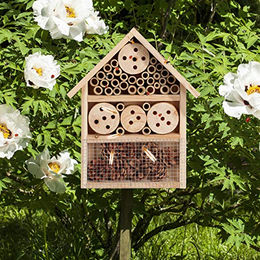 Relaxdays Insektenhotel Bausatz aus Holz für Käfer Wildbienen und Florfliegen Natur 33 x 24,5 x 7 cm – Bild 1 von 5