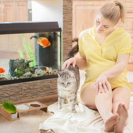 Relaxdays Katzen Futterstation aus Bambus mit Katzengras Schale und 2 Keramiknäpfen Natur/Weiß – Bild 1 von 9