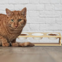 Produktbild von Relaxdays Katzen Futterstation mit 3 Keramiknäpfen aus Bambus in Natur und Weiß - 400 ml