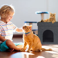 Produktbild von Relaxdays Katzenhöhle Kuschelhöhle aus Stoff grau für Katzen und kleine Hunde
