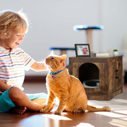 Relaxdays Katzenschrank XL Möbel-Toilette aus Holz in Braun – Bild 1 von 9