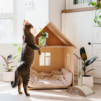 Produktbild von Relaxdays Kratzsäule für Katzen mit Sisalstamm und Spielzeug in Braun oder Beige