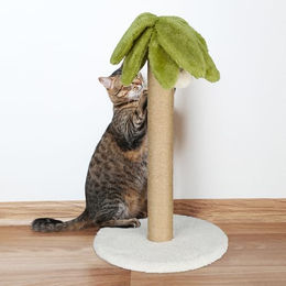 Relaxdays Kratzsäule Palme für Katzen in Bunt mit Leinen-Seil und Bommel, 54x31 cm – Bild 1 von 4