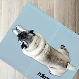 Relaxdays Kühlmatte für Hunde mit Gel, selbstkühlend und abwischbar, Grau, Größe L – Bild 1 von 2