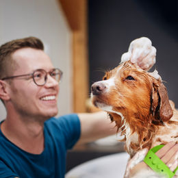 Relaxdays Massagebürste für Hund und Katze 15er Set aus TPR in Bunt – Bild 1 von 6