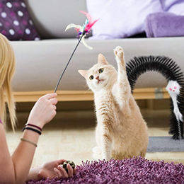 Relaxdays Massagebürste Kratzbogen für Katzen mit Spielmaus grau – Bild 1 von 11