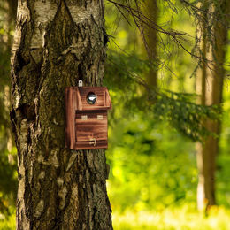 Relaxdays Meisenkasten aus Holz mit Reinigungsklappe für Wildvögel in Natur und Braun – Bild 1 von 10