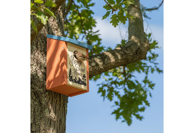 relaxdays Meisenkasten Home Tweet Home Vogelhaus aus Holz in Orange für Wildvögel – Bild 1 von 3