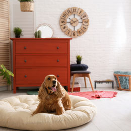 Relaxdays Napfständer aus Mangoholz mit 2 Edelstahlnäpfen für Hunde in Natur - 1000 ml – Bild 1 von 7