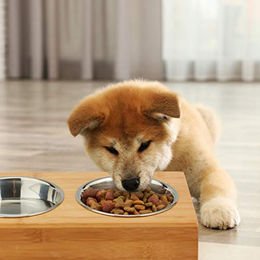 Relaxdays Napfstation für Katzen und kleine Hunde mit 2 erhöhten Edelstahl Näpfen in Natur – Bild 1 von 4