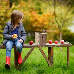 Relaxdays Nistkasten aus Holz für Wildvögel und Meisen in Natur Braun – Bild 1 von 8