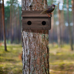 Relaxdays Nistkasten für Stare aus Holz in Braun mit 2 Einfluglöchern – Bild 1 von 12